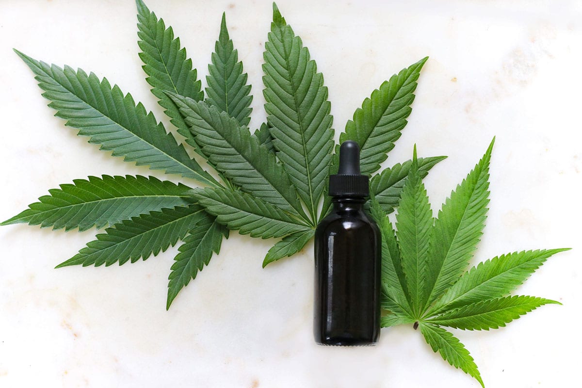 CBD Vs. CBN: What&#39;s the Difference? - July 2021 - CBD Clinicals